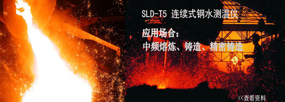 铔R测温AQ熔炼测温AQSLD-T5q箋式钢水测温A